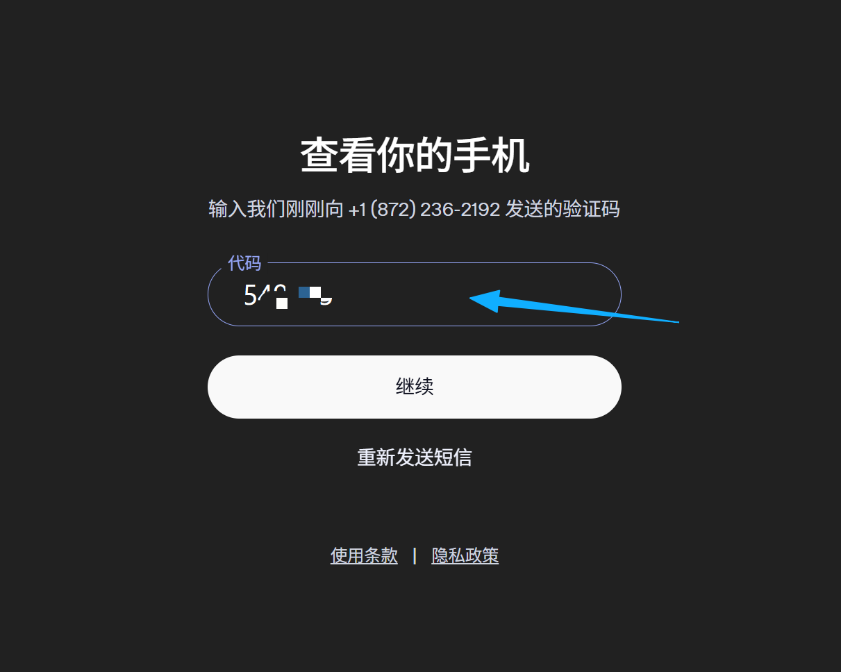步骤 5:在 OpenAI 输入验证码完成验证